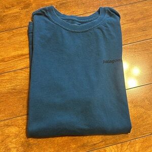Patagonia tshirt